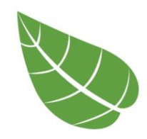 Segments