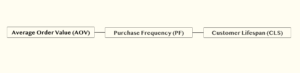 Shopify Customer Lifetime Value